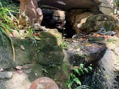 -巴倒烫陆派火锅山庄(南山总店)