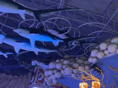 -烟台海昌鲸鲨海洋公园