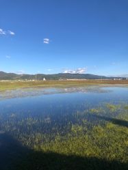 -纳帕海依拉草原