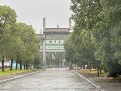 -陶辛水韵