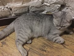 -不舍昼夜咖啡馆