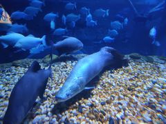 -成都浩海立方海洋公园