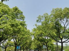 -东钱湖旅游度假区