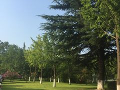 -陕西省游泳跳水馆