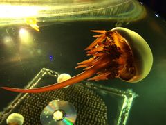 景点-华夏文旅西安度假区