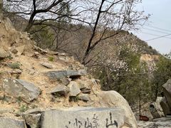 -阳台山自然风景区