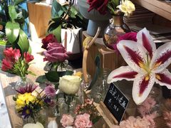 -弗劳尔花艺坊(龙涛店)