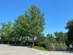 -北京张裕爱斐堡酒庄