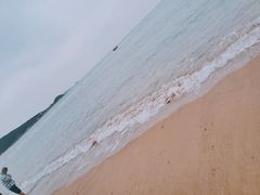 -仰口沙滩
