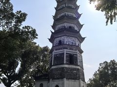 -苏州上方山国家森林公园