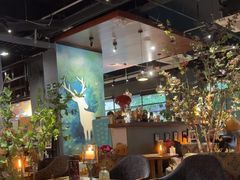 -咖法森林·咖啡  酒吧(天河店)