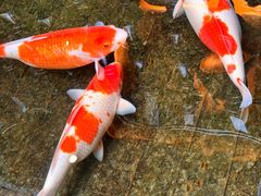 -福禧酒窖·中餐厅 (万柳店)