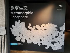 -现代汽车文化中心 Hyundai Motorstudio Beijing