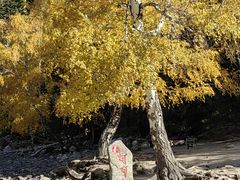 -可可托海景区