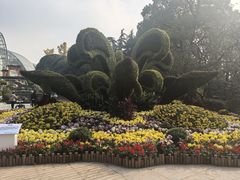 -南山植物园