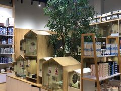 -屋虎猫馆(宝安大仟里店)