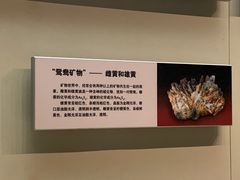 -天津自然博物馆