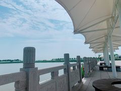 -大港湿地公园