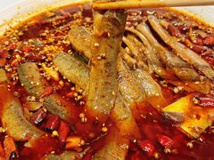 -靓蛙馆