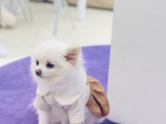 -怪兽屋·羊驼·猫咖·狗咖(俊华广场店)