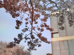 -龙美术馆(西岸馆)