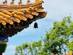 -华山风景名胜区