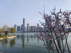 -天鹅湖体育公园