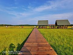 -塞罕坝国家级自然保护区