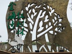 -北海金海湾红树林生态旅游区