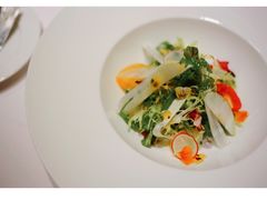 -蝶舍·MAISON PAPILLON