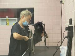 -FAELING PETS美天灵宠物(富力广场店)