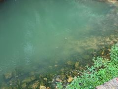 -湖洞水自然风景区