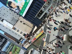 -蟹道乐(道顿堀本店)