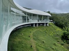-武夷山风景名胜区-玉女峰
