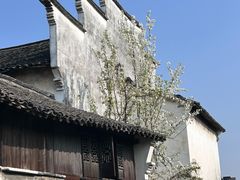 -乌镇东栅景区