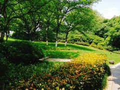 -中国茶叶博物馆(双峰馆区)