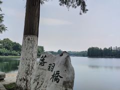 -东湖听涛景区