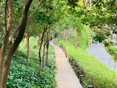 -新江湾城公园