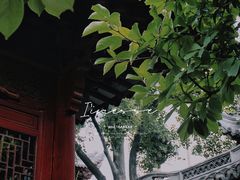 -豫园