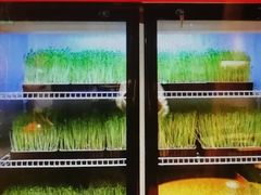 -煲宫猪肚鸡(昆山金鹰国际购物中心店)