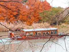 -三垟湿地