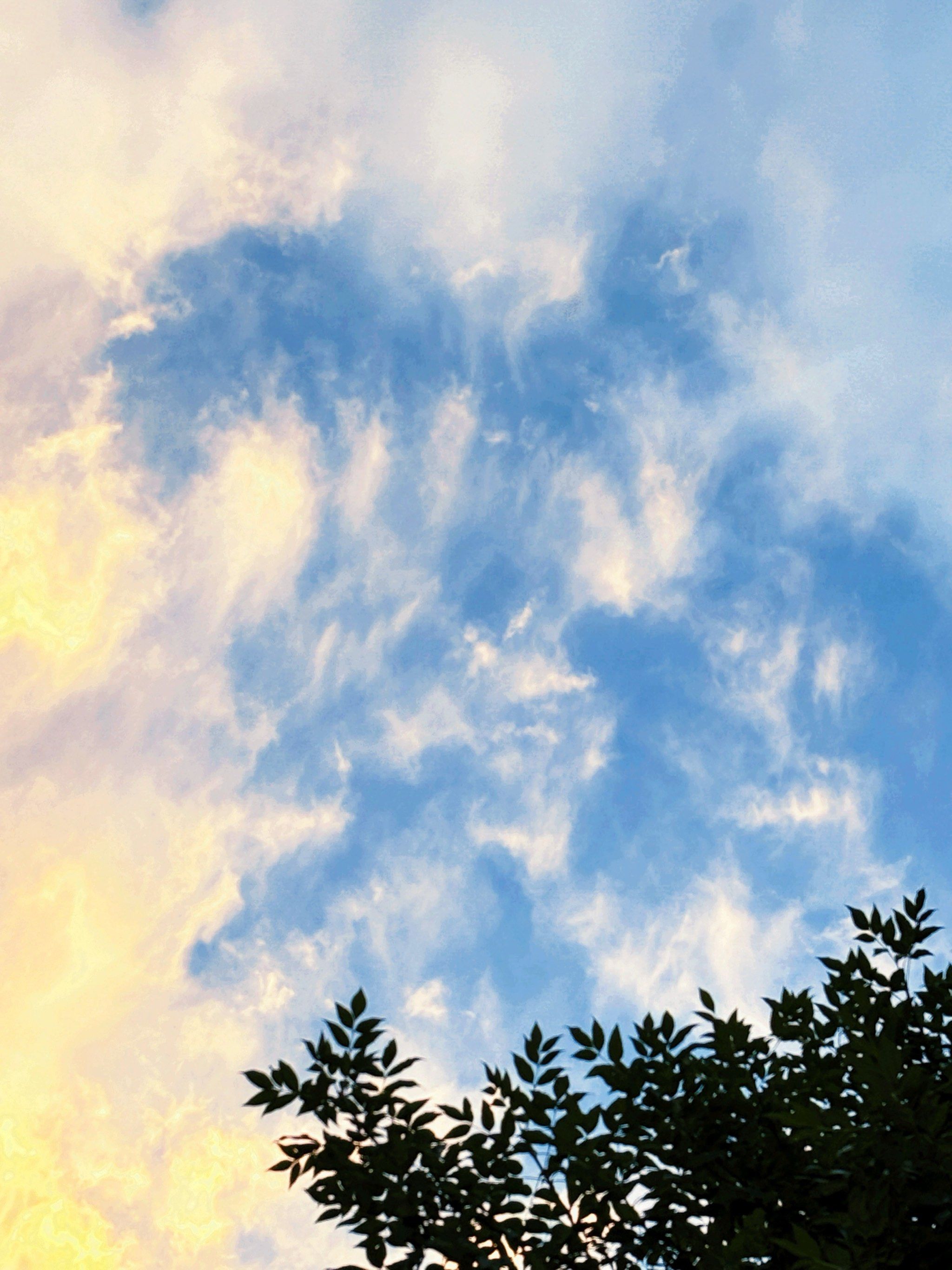 天空摄影大赛|苹果手机拍摄的夏日晴空