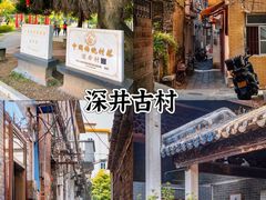 -长洲岛