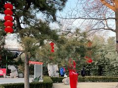 -团结湖公园