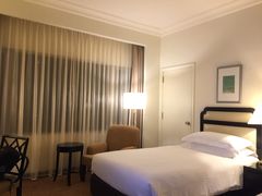-新加坡乌节希尔顿酒店 (SG Clean)
