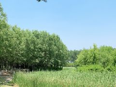 -东郊湿地公园