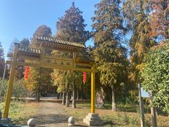 -渌洋湖湿地公园