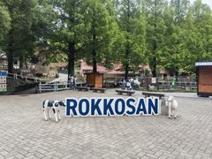 -神户市立六甲山牧场