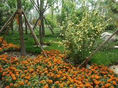 -武清南湖绿博园