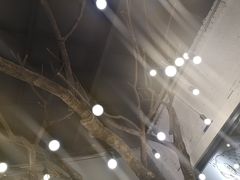 -niu niu c&m(万江江南世家店)